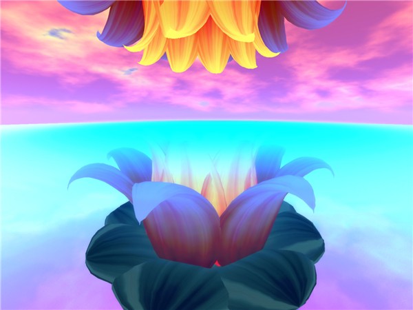 lotusreflection