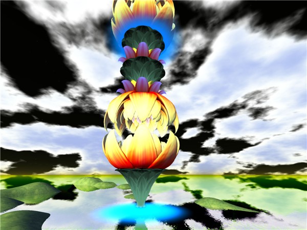 lotusexpand2