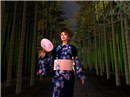 Gion's Summer