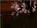 2008072301_005