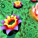 Lotus 1
