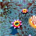 Lotus 2