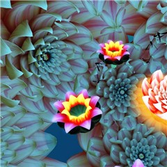 Lotus 2