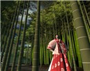 SL-GION_02