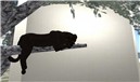 Kitty_001