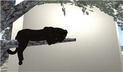 Kitty_001