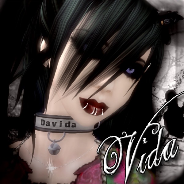 Vida