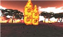 Termite pile