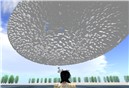 Snapshot_024-080725