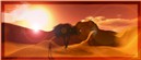 AFRICAN SUN 