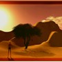 AFRICAN SUN 