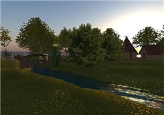 Serenity Forest