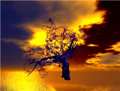 This tree can fly...