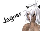 Jag_003