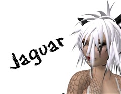 Jag_003