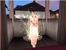 Snapshot_062