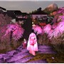 Snapshot_061