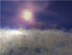 The Moon wears Purple