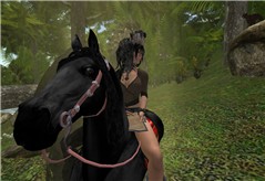 Indian princess on horse