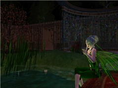 Garden Fairy's Adventures