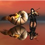 dance of nautilus