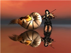 dance of nautilus