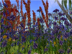 In Sheherezade's Garden