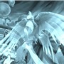 Angel healer