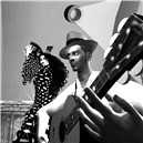 flamenco BW