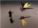 dragonmusic2