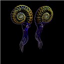 ammonits neon
