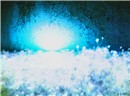 Fairy Glow