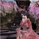 sakura