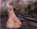 sakura 2