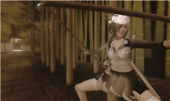 Battle in the Bamboo #5