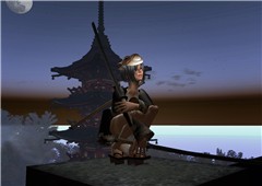 Rooftop sentry