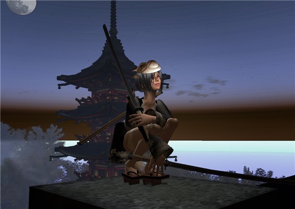 Rooftop sentry