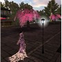 gion_vere1