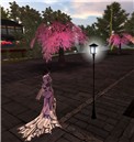 gion_vere1