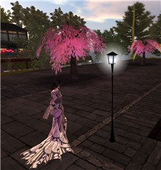 gion_vere1