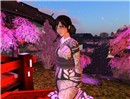 gion_vere3