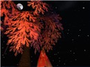 Tell me something,  the Moon .....