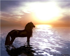Freedom