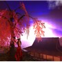 雀色時_sunset