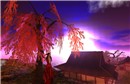 雀色時_sunset