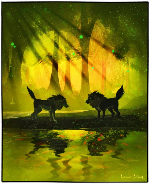 chakryn wolfes