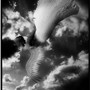 FallenAngel