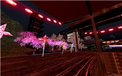 Snapshot_014s