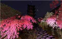 Snapshot_011