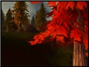 Hillsbrad